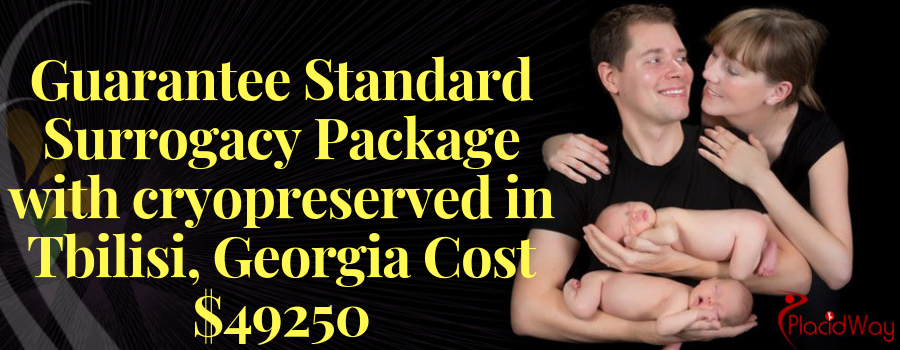 Guarantee Standard Surrogacy Package with cryopreserved in Tbilsi, Georgia